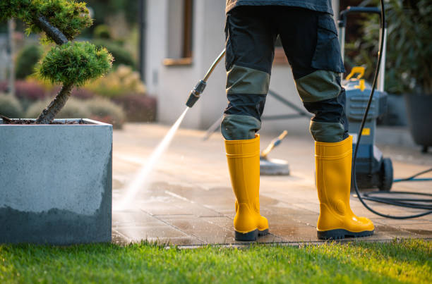 Best Roof Pressure Washing  in Cocoa Beach, FL